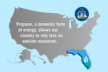 Propane, a domestic form of energy, allows our country to rely less on outside resources. 